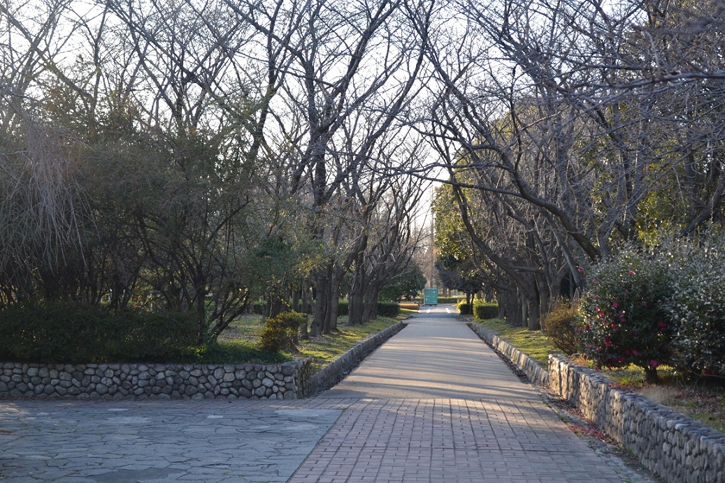 a0055650_2453350.jpg
