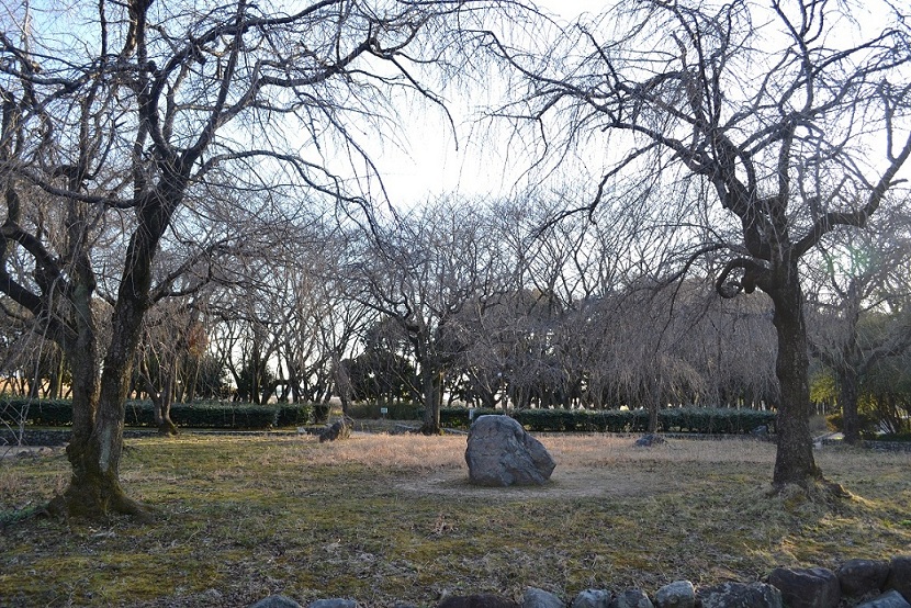 a0055650_2481567.jpg