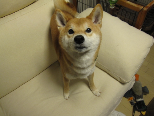 f0245650_828119.jpg