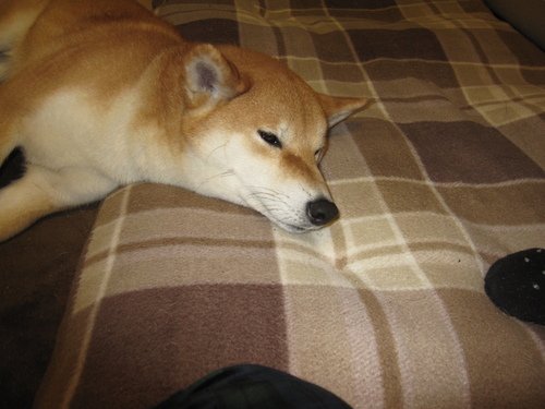 f0245650_8452731.jpg