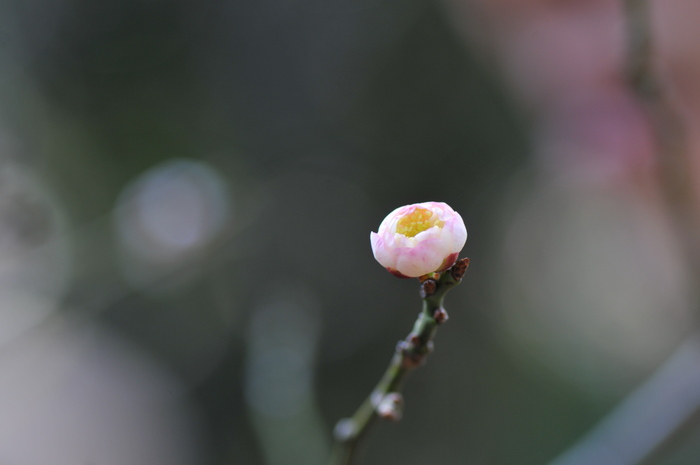 d0240158_227624.jpg