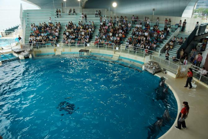 下関市立しものせき水族館 「海響館」_e0145960_2353139.jpg