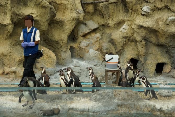 下関市立しものせき水族館 「海響館」_e0145960_23533145.jpg