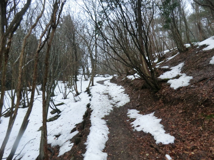 No277 寒冷前線通過・悪天の養老山地へ_b0185573_15243592.jpg