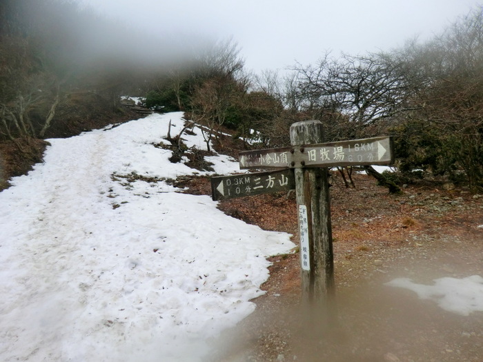 No277 寒冷前線通過・悪天の養老山地へ_b0185573_15554731.jpg