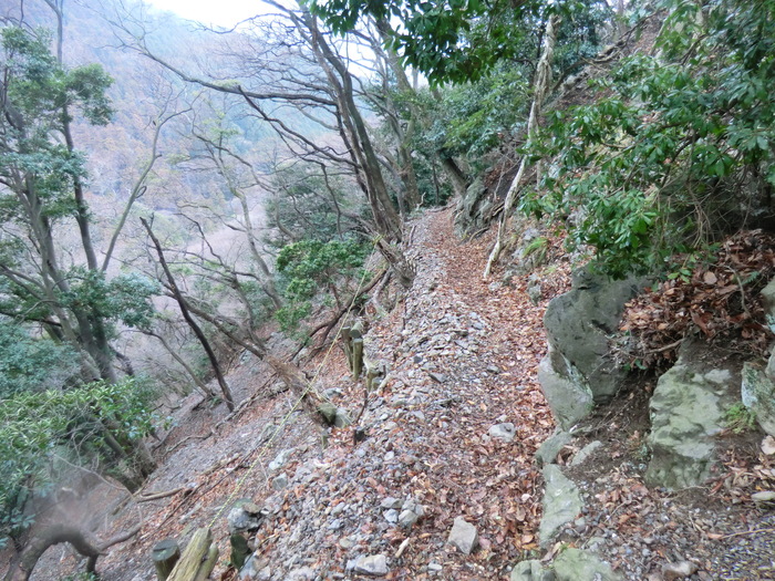 No277 寒冷前線通過・悪天の養老山地へ_b0185573_19391519.jpg