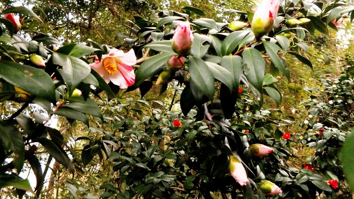 b0214473_170813.jpg