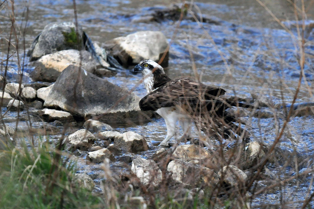 c0155479_7725100.jpg
