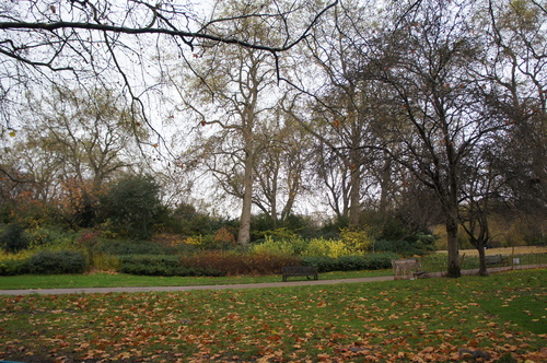 f0062680_174466.jpg