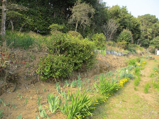 b0182884_17317100.jpg
