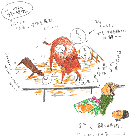 おーい、はるーーー。_f0236291_14123336.gif