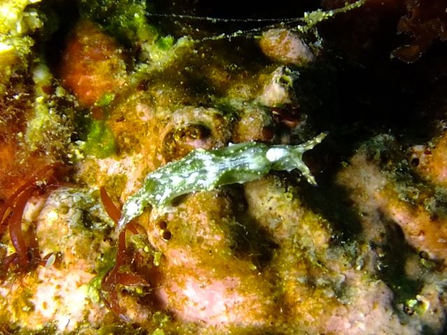 f0053895_169326.jpg