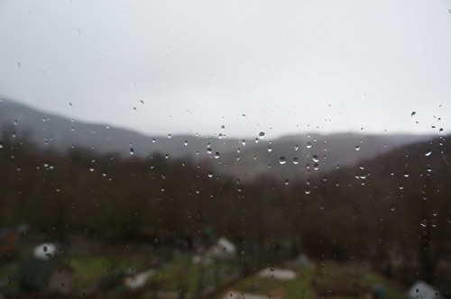 雨の日_f0106597_22151752.jpg