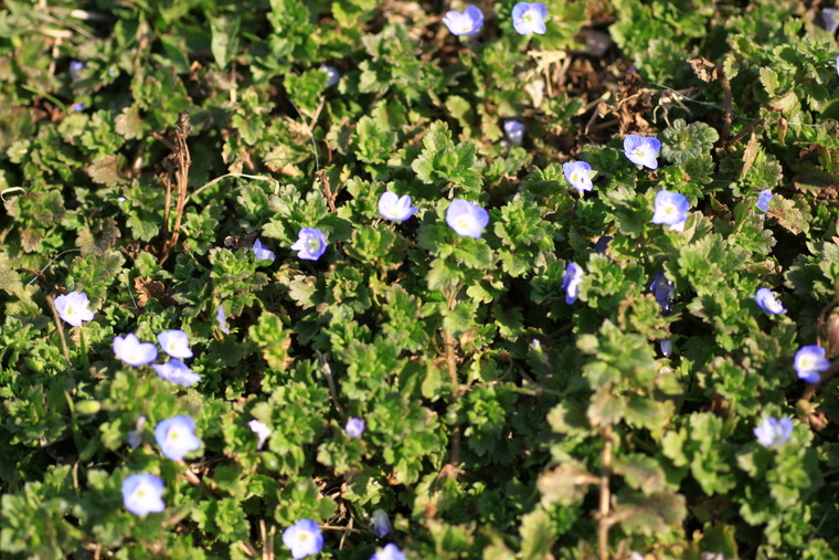 d0248502_3204667.jpg