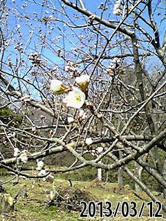 e0270403_111416.jpg