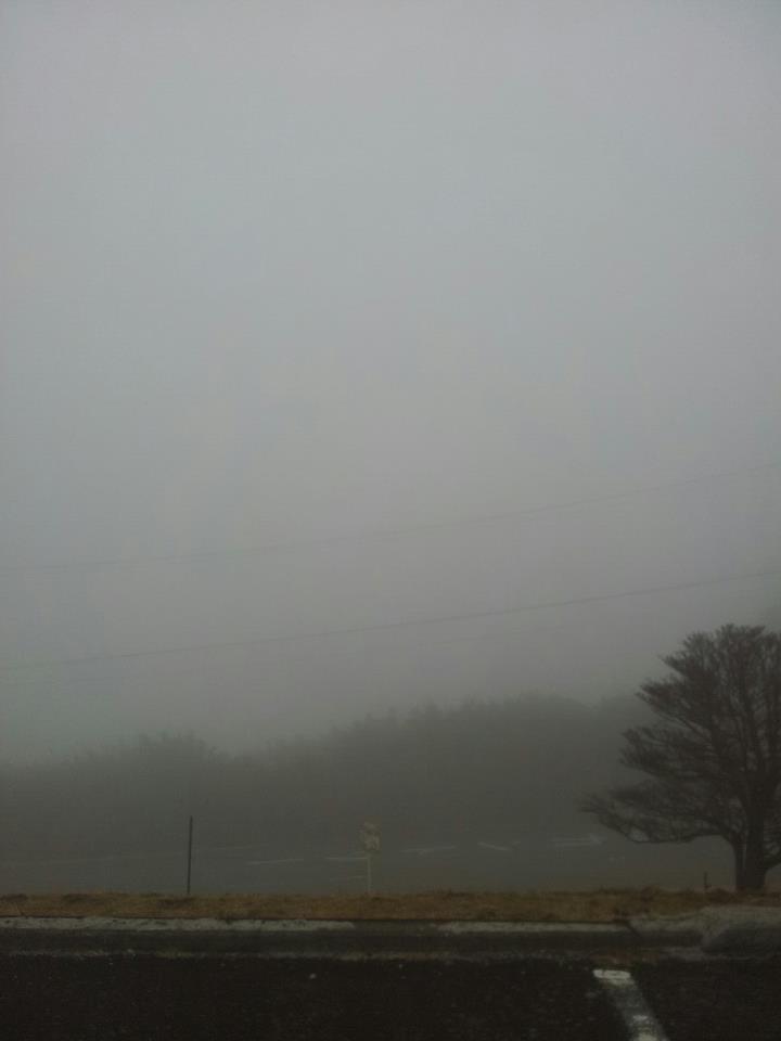 e0015108_10125163.jpg