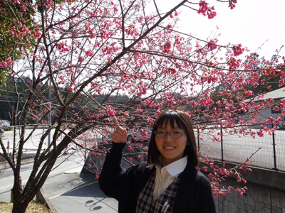 寒緋桜が満開！_a0154110_10533341.jpg
