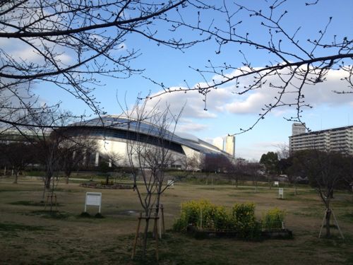 青空の八幡屋公園_a0098418_18384035.jpg