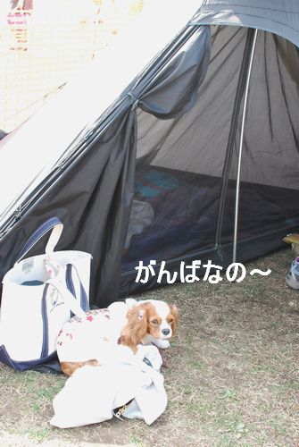f0214121_23081.jpg
