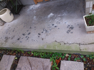 e0255026_071126.gif