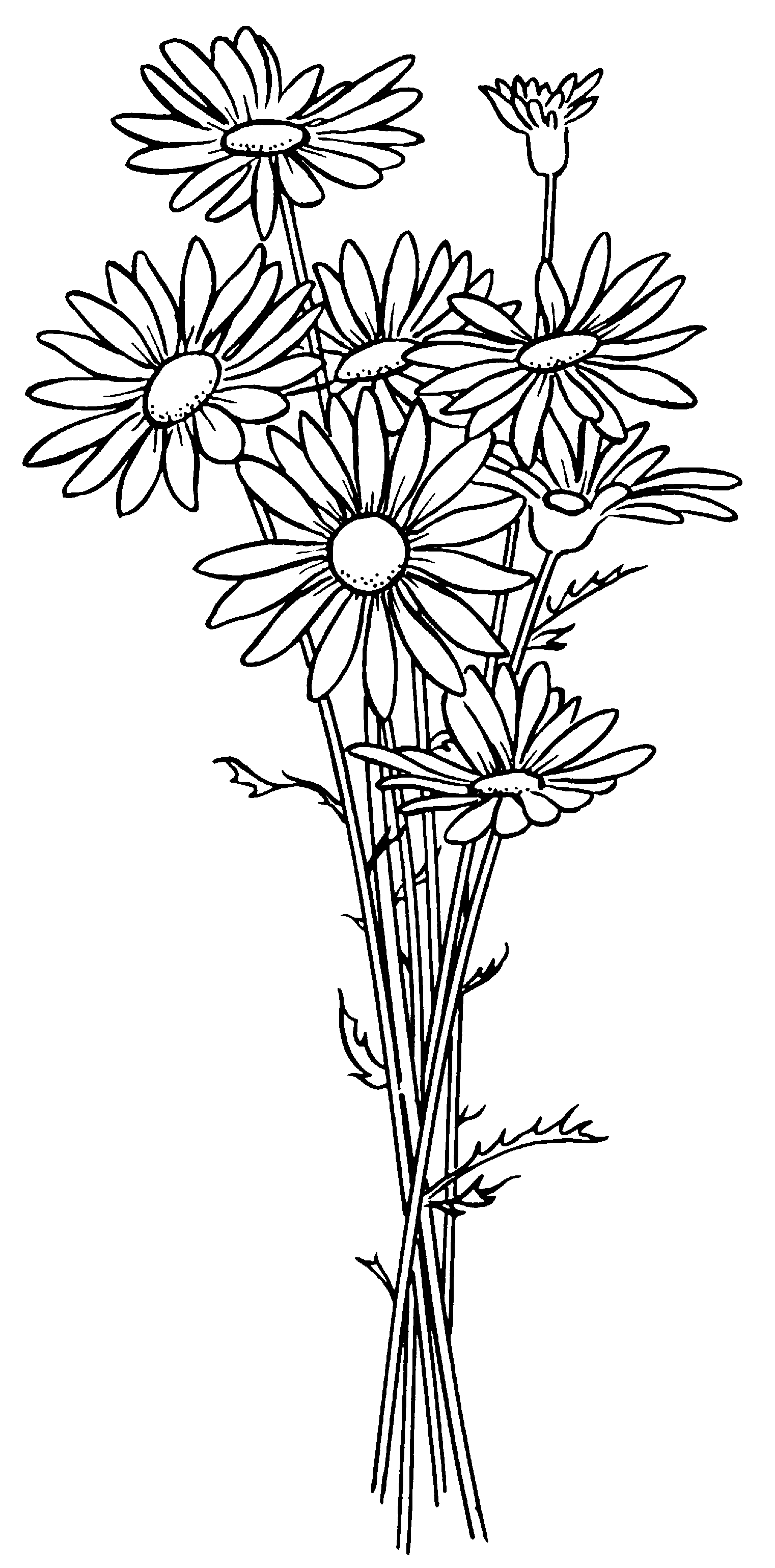 e0278631_19581120.gif