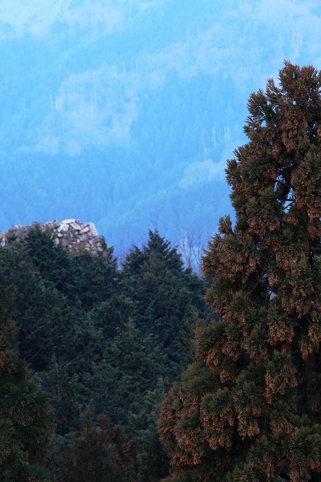 a0294534_1972190.jpg