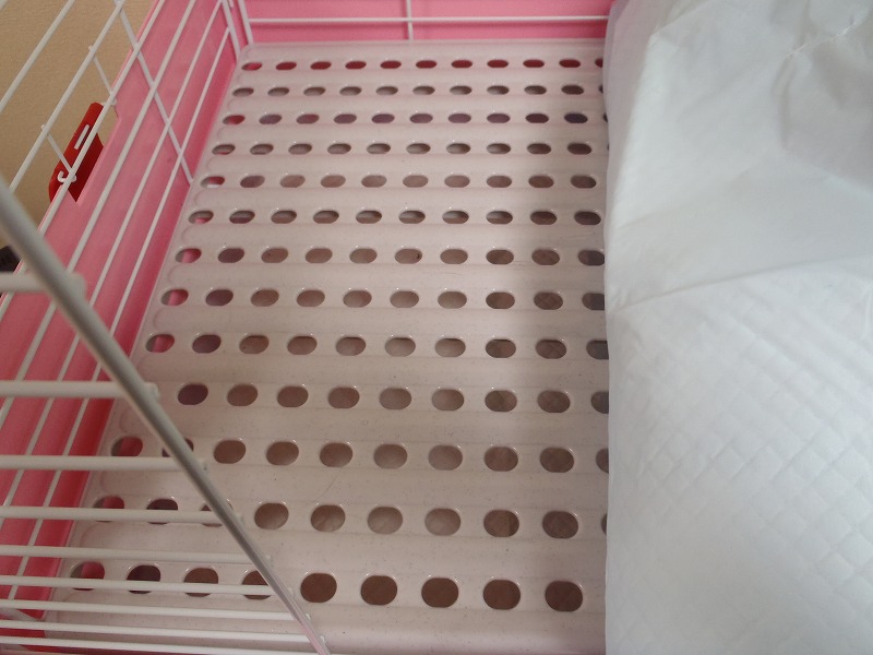 c0276034_21649.jpg