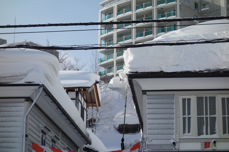 オルゴール おたる海鳴楼本店 / かふぇ自鳴琴（オルゴール）～冬の北海道旅行 2日目その2_a0287336_2238420.jpg