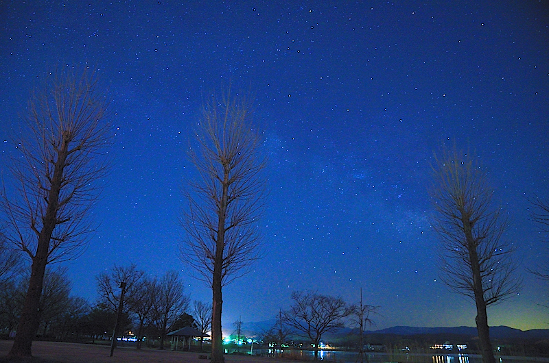 e0055138_14332.jpg