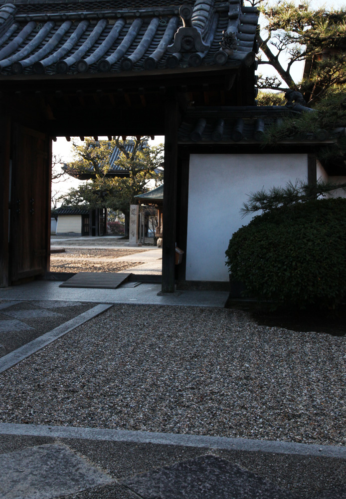 大阪　藤井寺市　道明寺　梅_c0108146_21545270.jpg