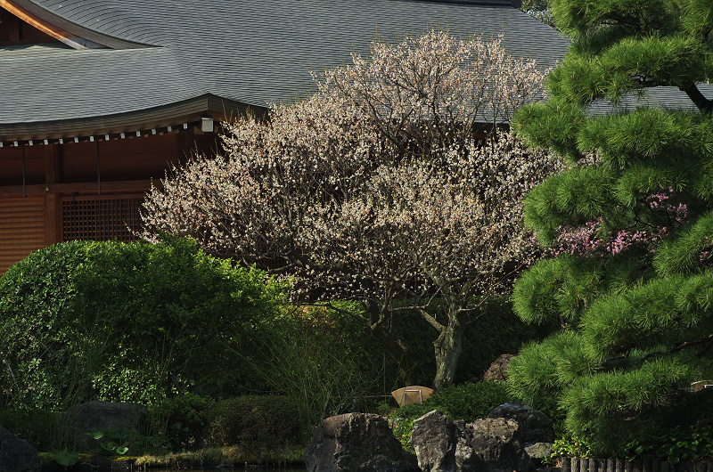 春爛漫・城南宮（平安の庭～室町の庭編）_f0155048_22413797.jpg