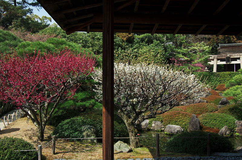 春爛漫・城南宮（平安の庭～室町の庭編）_f0155048_22423884.jpg