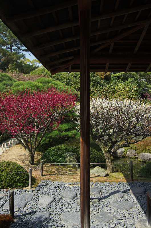 春爛漫・城南宮（平安の庭～室町の庭編）_f0155048_22433286.jpg