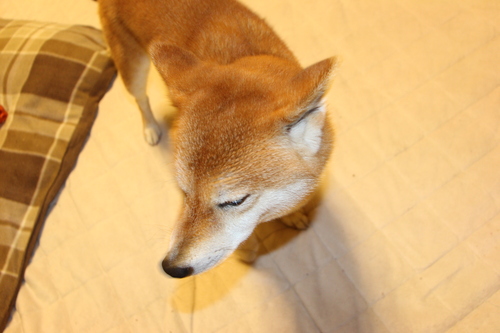 f0245650_21353656.jpg