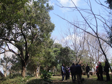 c0108460_1756715.jpg