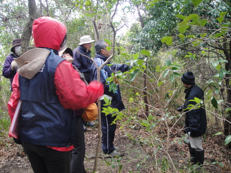 c0108460_1835240.jpg