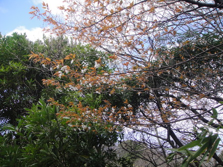 c0108460_1852389.jpg