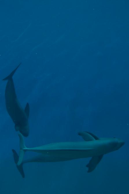 e0145960_22545382.jpg