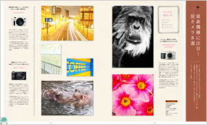 vol.48「WORLD TRAVEL」発売です!_b0043961_15521962.jpg
