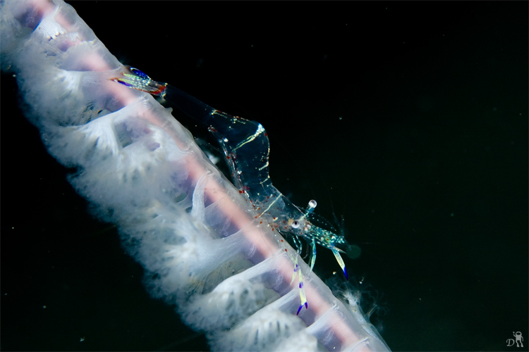 e0158261_2027656.jpg