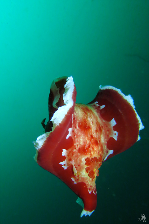 e0158261_7193511.jpg