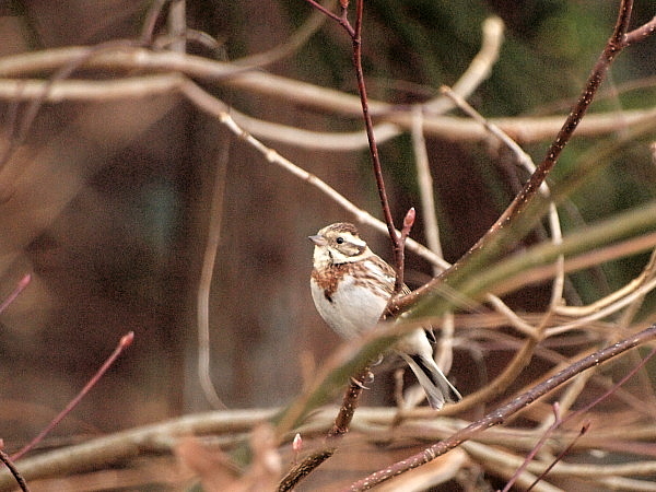 f0215964_17582.jpg
