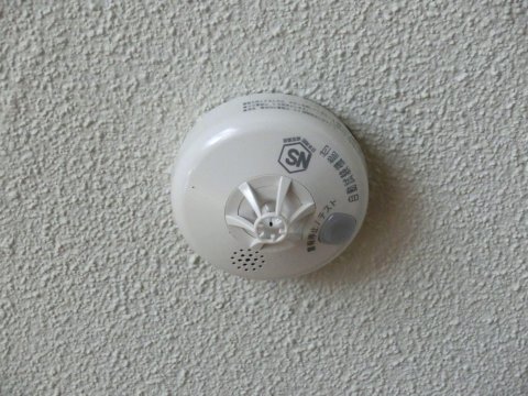e0045768_2239531.jpg