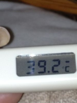 c0283778_1411893.jpg