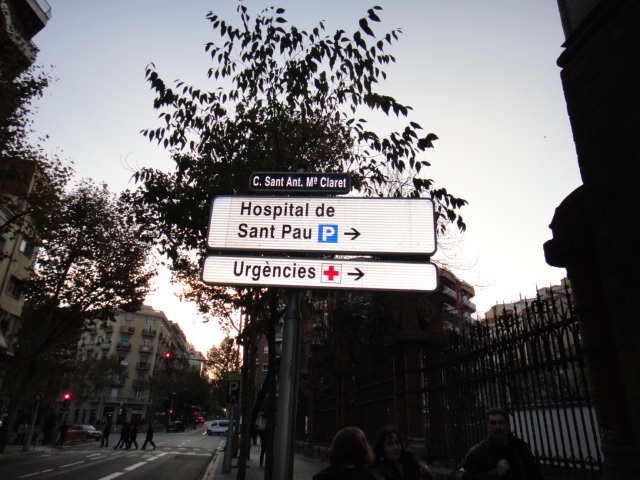 f0062680_0291267.jpg