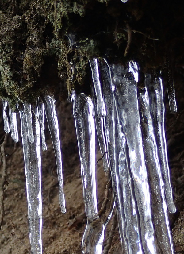 e0024081_20121310.jpg