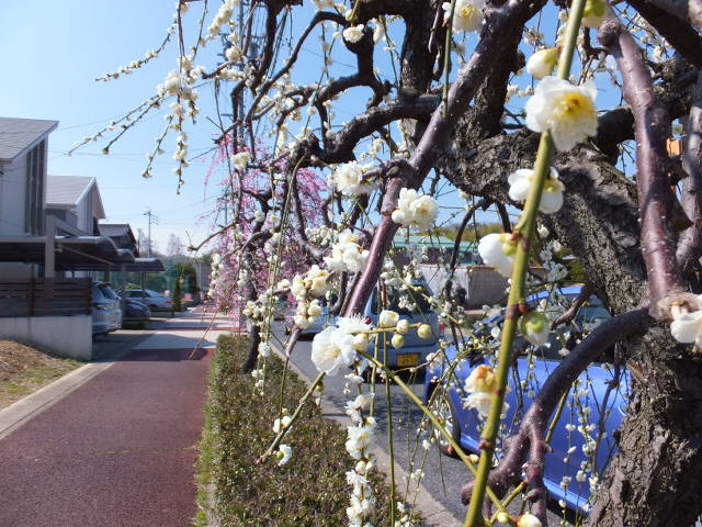 a0271502_13221413.jpg