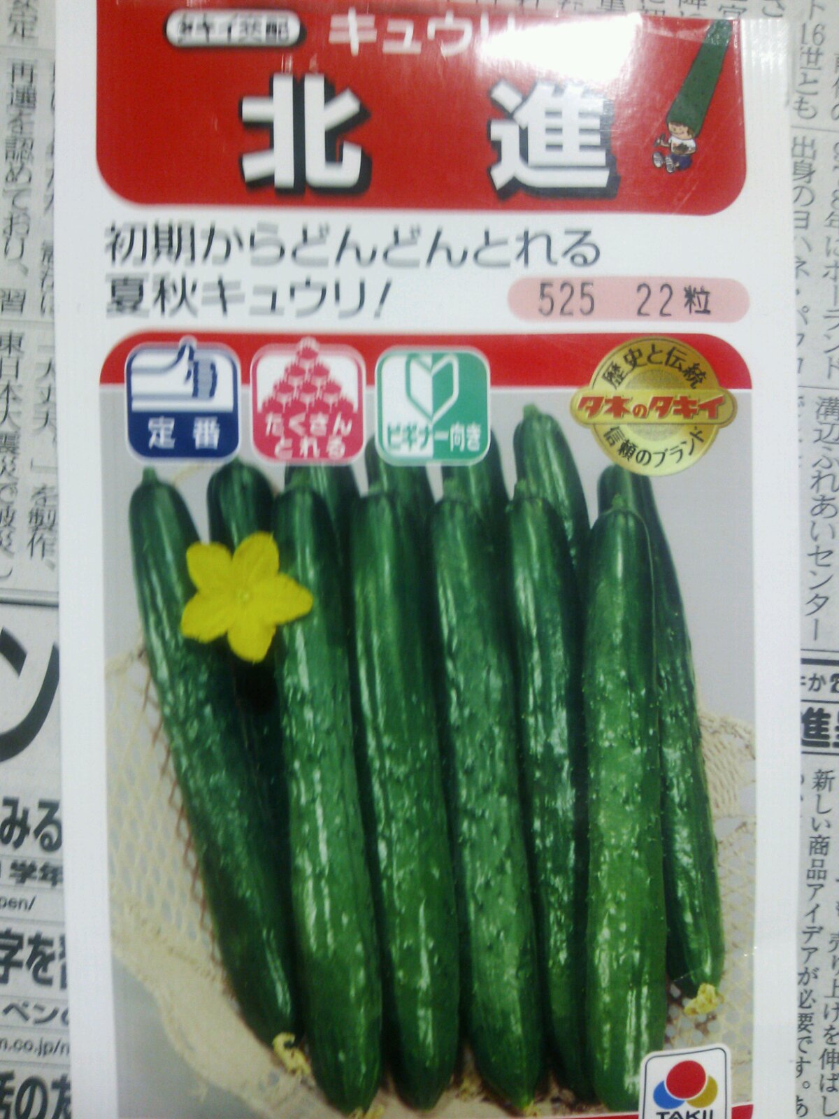 きゅうり 北進 種まき 野菜と仲良し