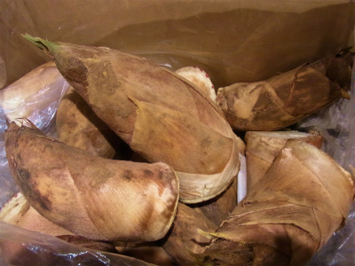 サクラマス入荷！！_f0157910_15191787.jpg