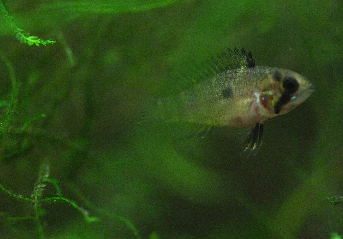 a0241913_1193477.jpg